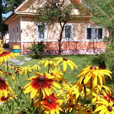 Guest house Vitebsk Extérieur photo