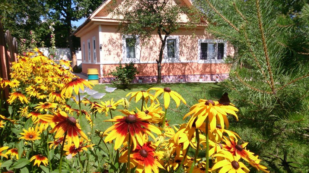 Guest house Vitebsk Extérieur photo